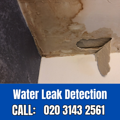 Expert Water Leak Detection Services in Greenwich | Greenwich Leak Detection